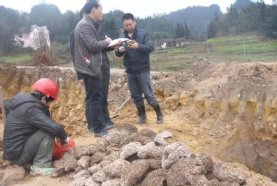 ˮ����Ϸ����ֳ�