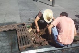 �����������ƺ��Ȧ��������